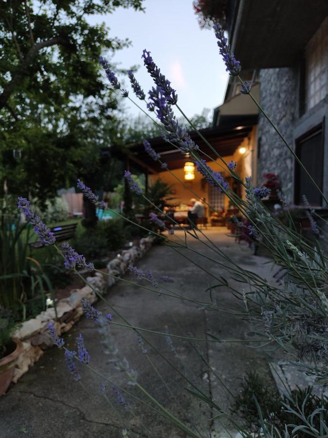 Casale Dei Ricordi Bed & Breakfast Arce Bagian luar foto