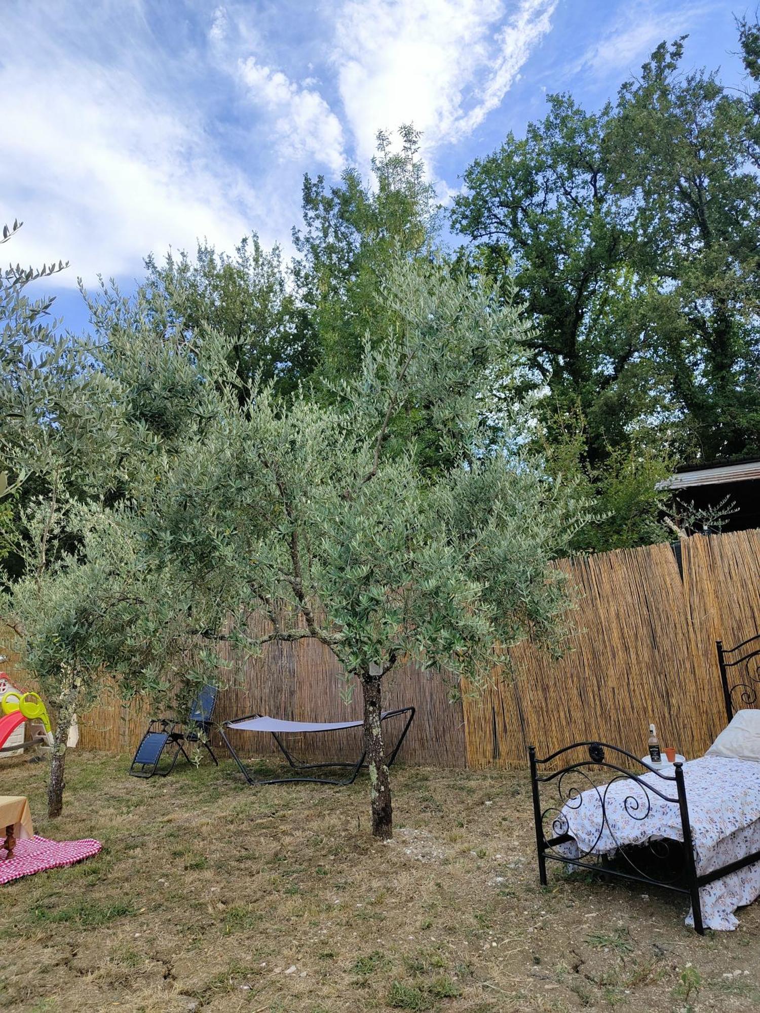 Casale Dei Ricordi Bed & Breakfast Arce Bagian luar foto